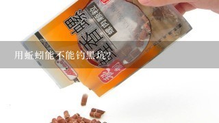 用蚯蚓能不能钓黑坑？