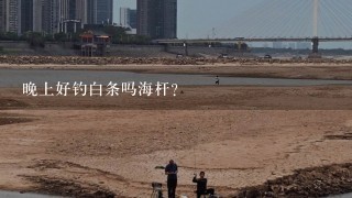 晚上好钓白条吗海杆？