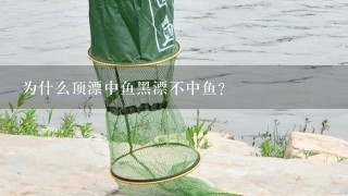 为什么顶漂中鱼黑漂不中鱼？