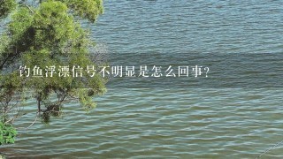 钓鱼浮漂信号不明显是怎么回事？