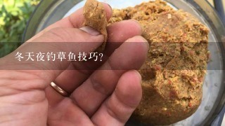 冬天夜钓草鱼技巧？