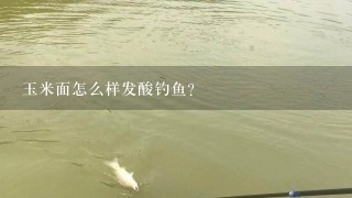 玉米面怎么样发酸钓鱼？