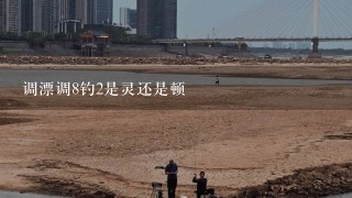 调漂调8钓2是灵还是顿