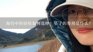 海钓中的铅坠如何选择？坠子的作用是什么？