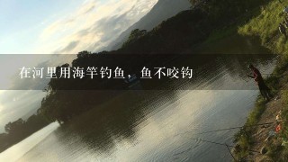 在河里用海竿钓鱼，鱼不咬钩