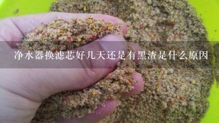 净水器换滤芯好几天还是有黑渣是什么原因