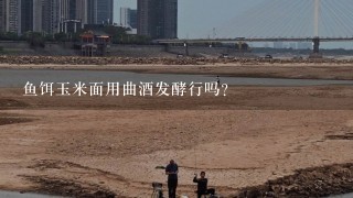 鱼饵玉米面用曲酒发酵行吗？