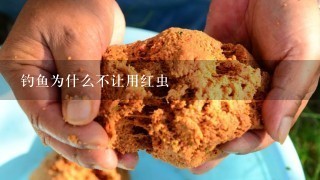 钓鱼为什么不让用红虫