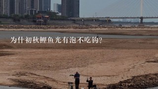 为什初秋鲤鱼光有泡不吃钩？