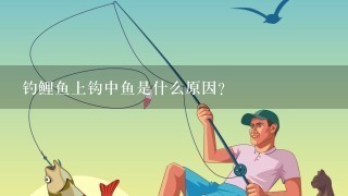 钓鲤鱼上钩中鱼是什么原因？