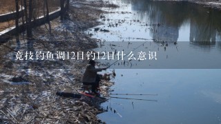 竞技钓鱼调12目钓12目什么意识