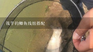 筏竿钓鲫鱼线组搭配