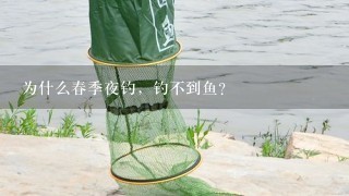 为什么春季夜钓，钓不到鱼？