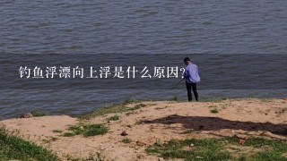 钓鱼浮漂向上浮是什么原因？