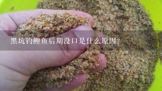 黑坑钓鲤鱼后期没口是什么原因？