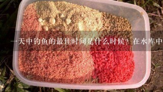 1天中钓鱼的最佳时间是什么时候？在水库中什么位置