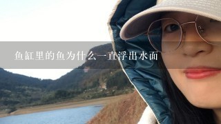 鱼缸里的鱼为什么1直浮出水面