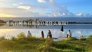 黑坑钓鲤鱼后期没口是什么原因？