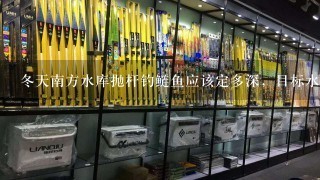 冬天南方水库抛杆钓鲢鱼应该定多深，目标水库冬天大坝水深20至30米左右。