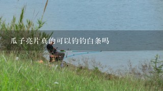 瓜子亮片真的可以钓钓白条吗