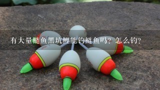 有大量鲢鱼黑坑鲤能钓鲢鱼吗？怎么钓？