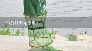 钓鱼灯聚光原理？