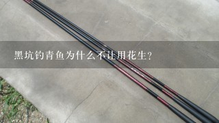 黑坑钓青鱼为什么不让用花生？