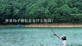 弹簧钩子被拉直是什么原因?