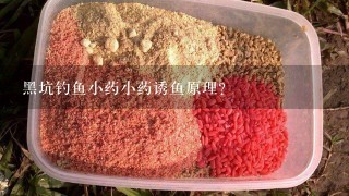 黑坑钓鱼小药小药诱鱼原理？