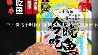 3月份这个时候在深圳水库用海竿钓鲤鱼好不好钓？那用串钩挂玉米好不好用？