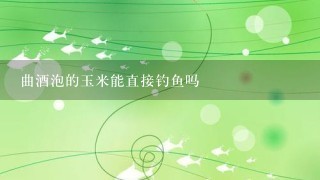 曲酒泡的玉米能直接钓鱼吗