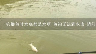 钓鲫鱼时水底都是水草 鱼钩无法到水底 请问怎么钓