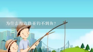 为什么海边路亚钓不到鱼？