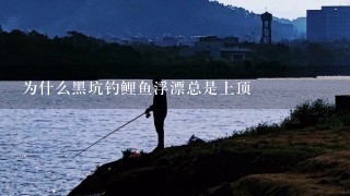 为什么黑坑钓鲤鱼浮漂总是上顶