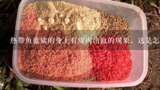 热带鱼蓝鲨的身上有皮内出血的现象，这是怎么回事？