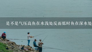 是不是气压高鱼在水浅处反而低时鱼在深水处