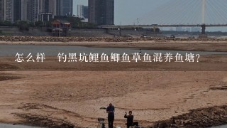 怎么样‎钓黑坑鲤鱼鲫鱼草鱼混养鱼塘？