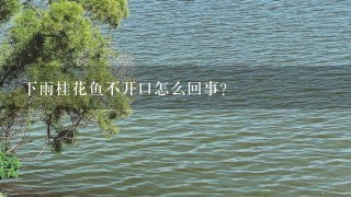 下雨桂花鱼不开口怎么回事？