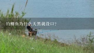 钓鲫鱼为什么天黑就没口？