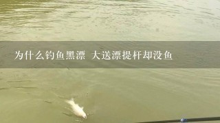 为什么钓鱼黑漂 大送漂提杆却没鱼