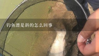 钓鱼漂是斜的怎么回事