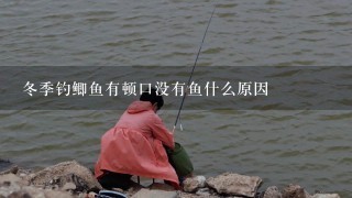 冬季钓鲫鱼有顿口没有鱼什么原因