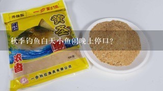 秋季钓鱼白天小鱼闹晚上停口？