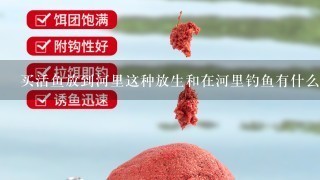 买活鱼放到河里这种放生和在河里钓鱼有什么区别？