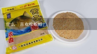 什么魚喜欢吃蚯蚓？