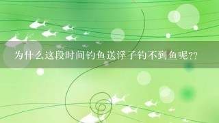 为什么这段时间钓鱼送浮子钓不到鱼呢??