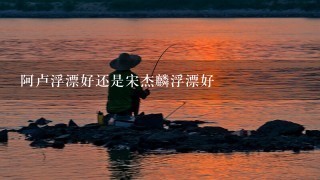 阿卢浮漂好还是宋杰麟浮漂好