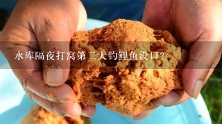 水库隔夜打窝第2天钓鲤鱼没口？