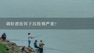 调好漂挂饵下沉特别严重？