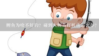 鲤鱼为啥不好钓？碰到大鲤鱼打桩该怎么办？